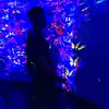 Sal Pellerito - @salpellerito - TikTok