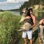 Reed Salmon - @reed.salmon.music - Instagram