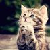 Sal Ros - Facebook