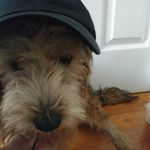 Sal Ruvalcaba - @s_and_s_handyman_services - Instagram