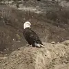 salsalerno - @usersalsalerno - TikTok