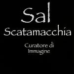 Sal Scatamacchia - @scatamacchia_parrucchieri - Instagram