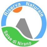 salsenirano - @salsenirano - Instagram