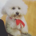 Salvador Valadez - @sal.valadez - Instagram