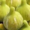 salah   salam - @salam.salam1739 - TikTok