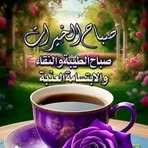 Salah Salam - Facebook