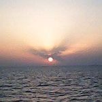 Salem Farhat - @salem.farhat.7982 - Instagram