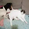 Jackson et Salem - @jackson.et.salem - TikTok