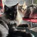 Salem Et Jackson  - Facebook