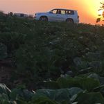 Salem Alsamaan - @salemalsamaan - Instagram