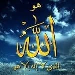 Salih Bashir - @salih.bashir.5661 - Instagram
