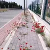 Salih Bashir - @salihbashir49 - TikTok