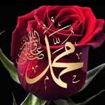 Salih Eroglu - Facebook