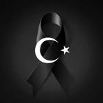 Salih Eroglu - @saliheroglu111 - Instagram