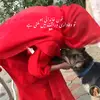 💎  ŝ𝐀Ĺιђ𝕒 🤍 - @saliha_khan971 - TikTok