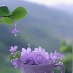 Salik Khan - Facebook