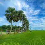 Salil Mitra - @salil.mitra.5 - Instagram