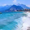 Salim Dibb - @salim.dibb - TikTok