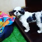 rahul d s - @salim.faraji.52 - Instagram