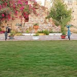 Salim Faraj - @salem__farg - Instagram
