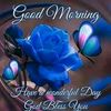 Salim Memon - @salimmemon062 - TikTok