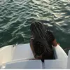 salina_browne1 - @salina_browne1 - TikTok