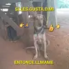 soy un hombre peresoso - @salinajimenez07 - TikTok