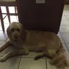 salinamoore79 - @salinamoore79 - TikTok
