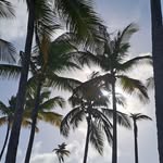 Salisha Mohammed - @salisha.921 - Instagram