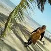 Salisha Mohammed - @salishamohammed27 - TikTok