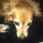 Sally Byrd - @the_real_sallybyrd - Instagram