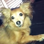 Sally Byrd - @sally_byrd101 - Instagram