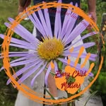 Sally Byrd Hayward - @byrdhayward - Instagram
