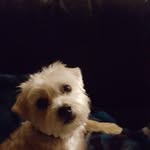 Sallie Cooper - @sallie.c.716 - Instagram