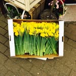 Sally Edwards - @theflowershophyde - Instagram