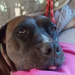 Sally Howard - @sally.howard.792 - Instagram