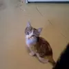 salliemott - @salliemott - TikTok