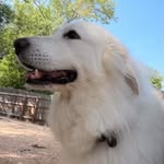 Sally Olson - @solson92 - Instagram