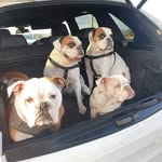 Sally Porter - @sallyp1975 - Instagram