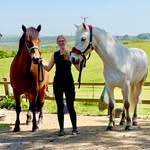 Sally Porter - @fred_henryshorseyadventures - Instagram