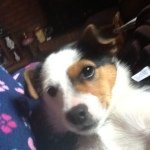 Sallie Rachel Ryan - @sallieryan123 - Instagram
