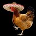 Sadie Saunders - Facebook