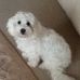 Sallie Saunders - Facebook