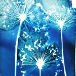 Sally Ann Stone - @sallystonecyanotypes - Instagram