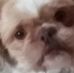 Sallie Ware - Facebook