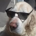 Sally Ware - @sallyware70 - Instagram