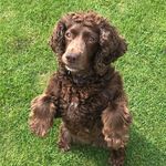 Sally Wise - @littlebrownbear_sally - Instagram