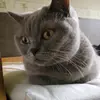 Sally Barre - @sally.barre - TikTok