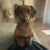 Sean_POH_Sally_Albert 🐕🐶 - @sean_poh_sally_albert - TikTok