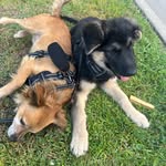 Sally Aleman - @rocky_tugboat - Instagram